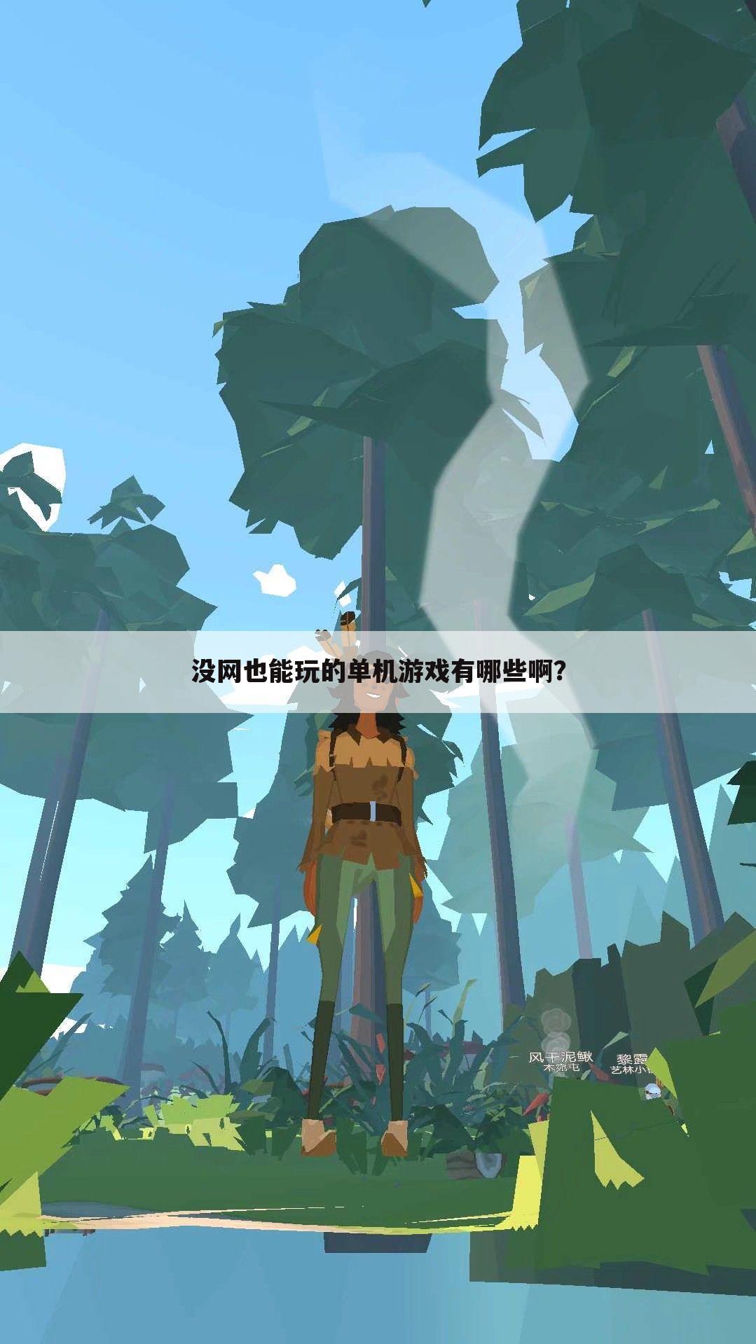 没网也能玩的单机游戏有哪些啊?