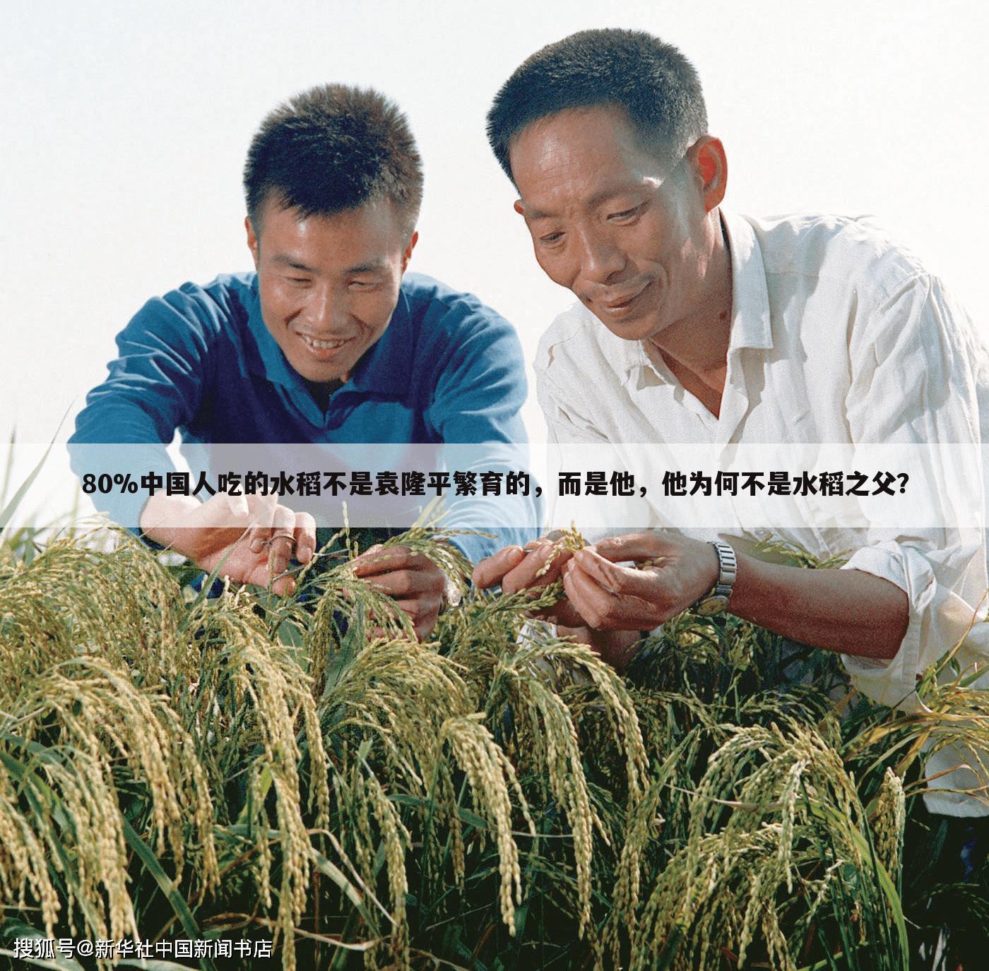 80%中国人吃的水稻不是袁隆平繁育的,而是他,他为何不是水稻之父?
