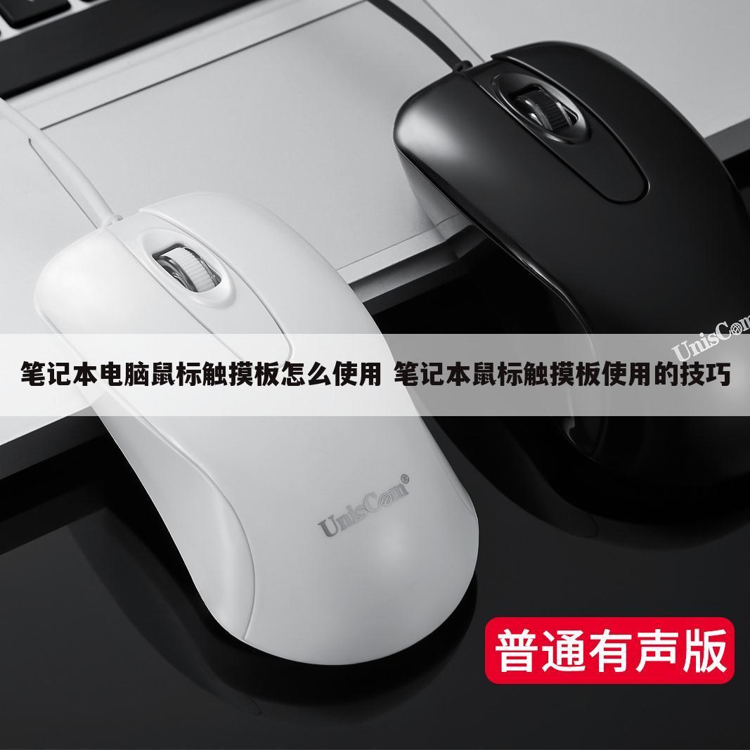 笔记本电脑鼠标触摸板怎么使用 笔记本鼠标触摸板使用的技巧