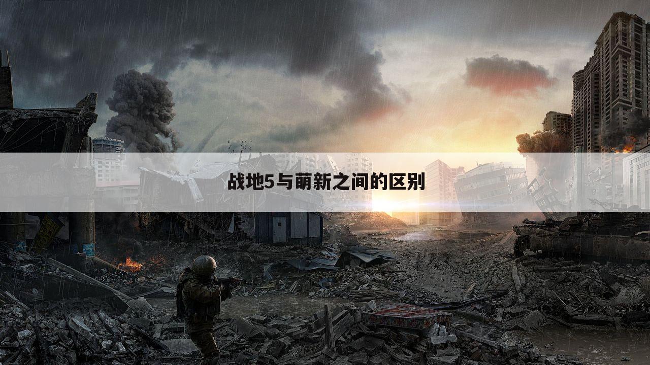 战地5与萌新之间的区别
