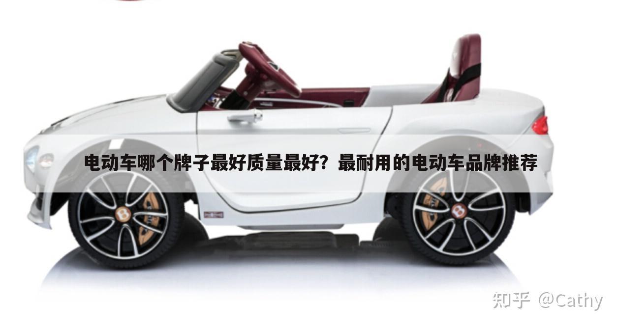 电动车哪个牌子最好质量最好？最耐用的电动车品牌推荐