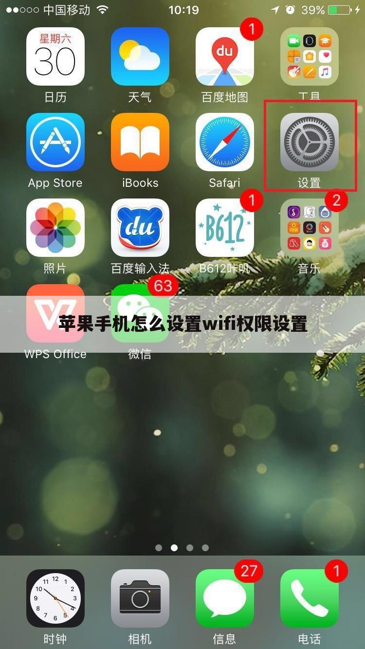 苹果手机怎么设置wifi权限设置
