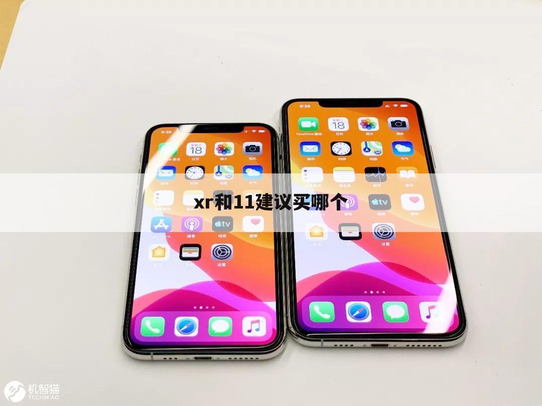 xr和11建议买哪个