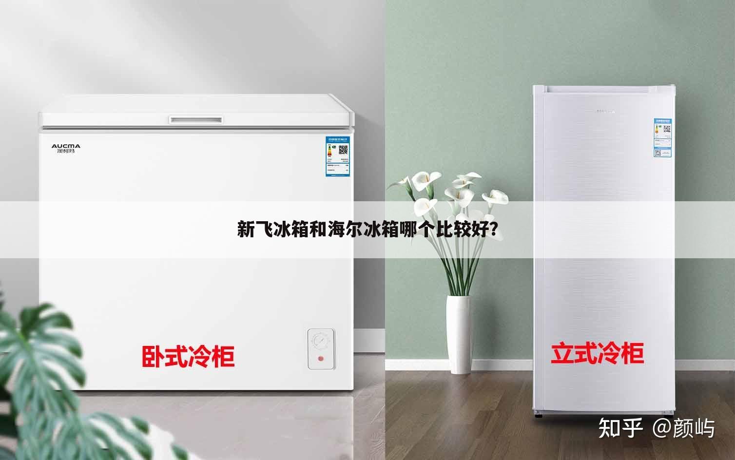 新飞冰箱和海尔冰箱哪个比较好?