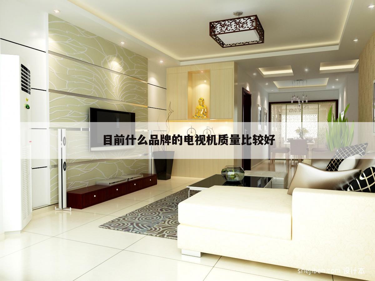 目前什么品牌的电视机质量比较好