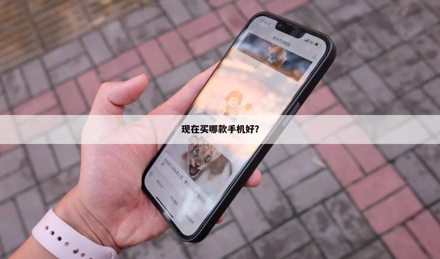 现在买哪款手机好?