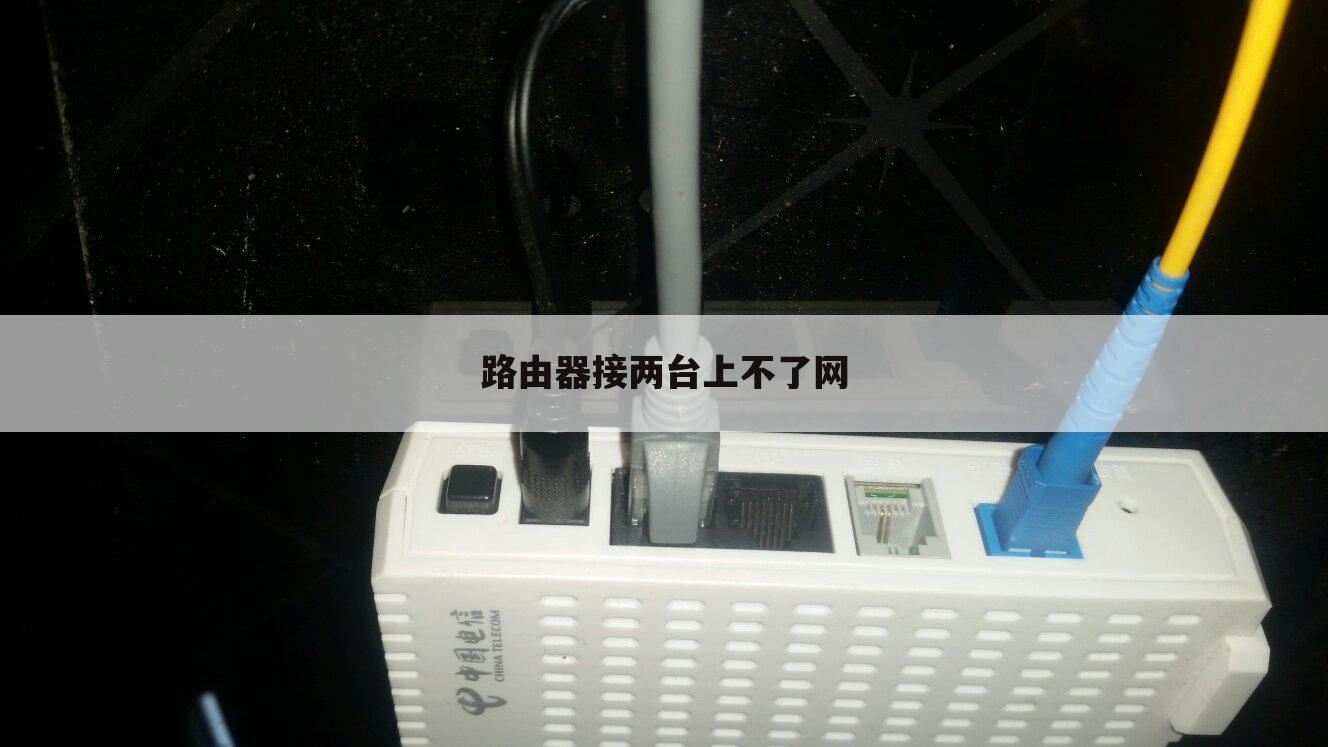路由器接两台上不了网