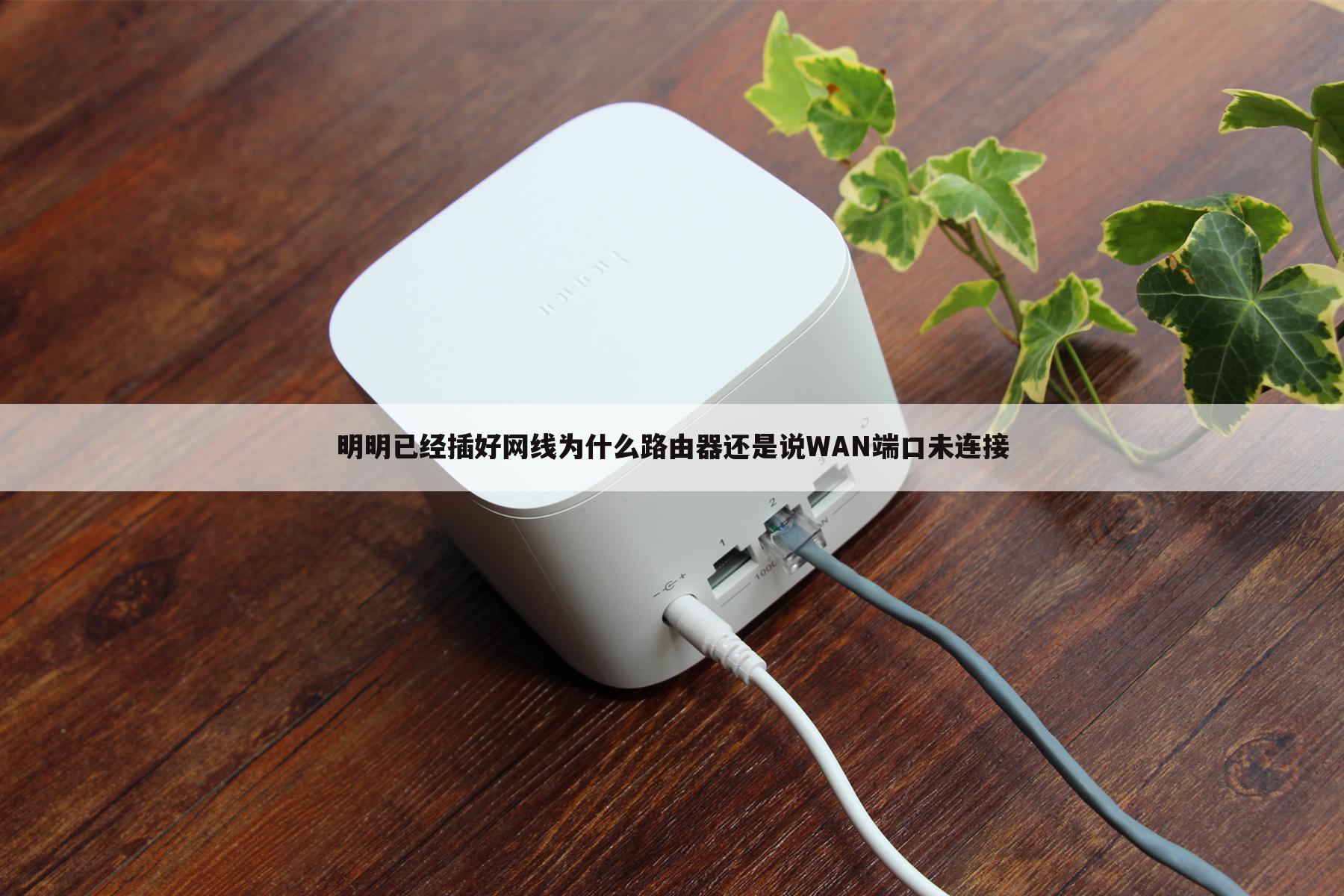明明已经插好网线为什么路由器还是说WAN端口未连接
