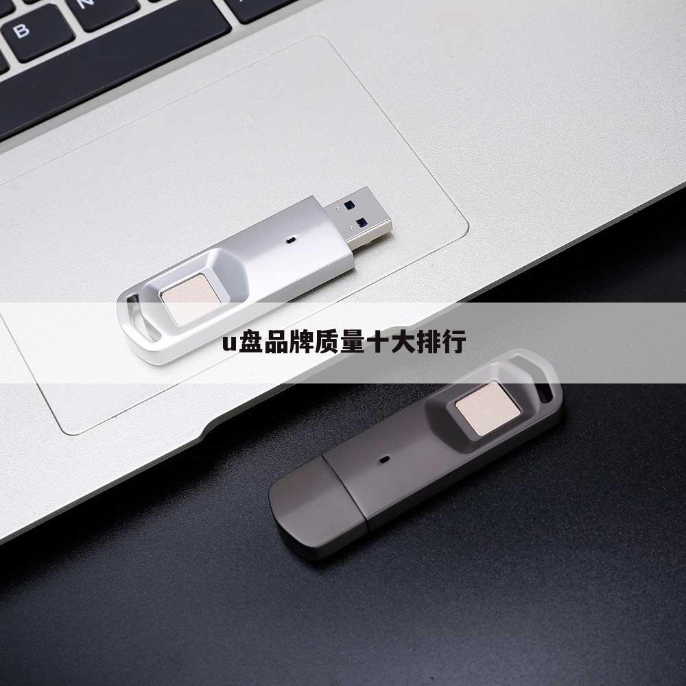 u盘品牌质量十大排行