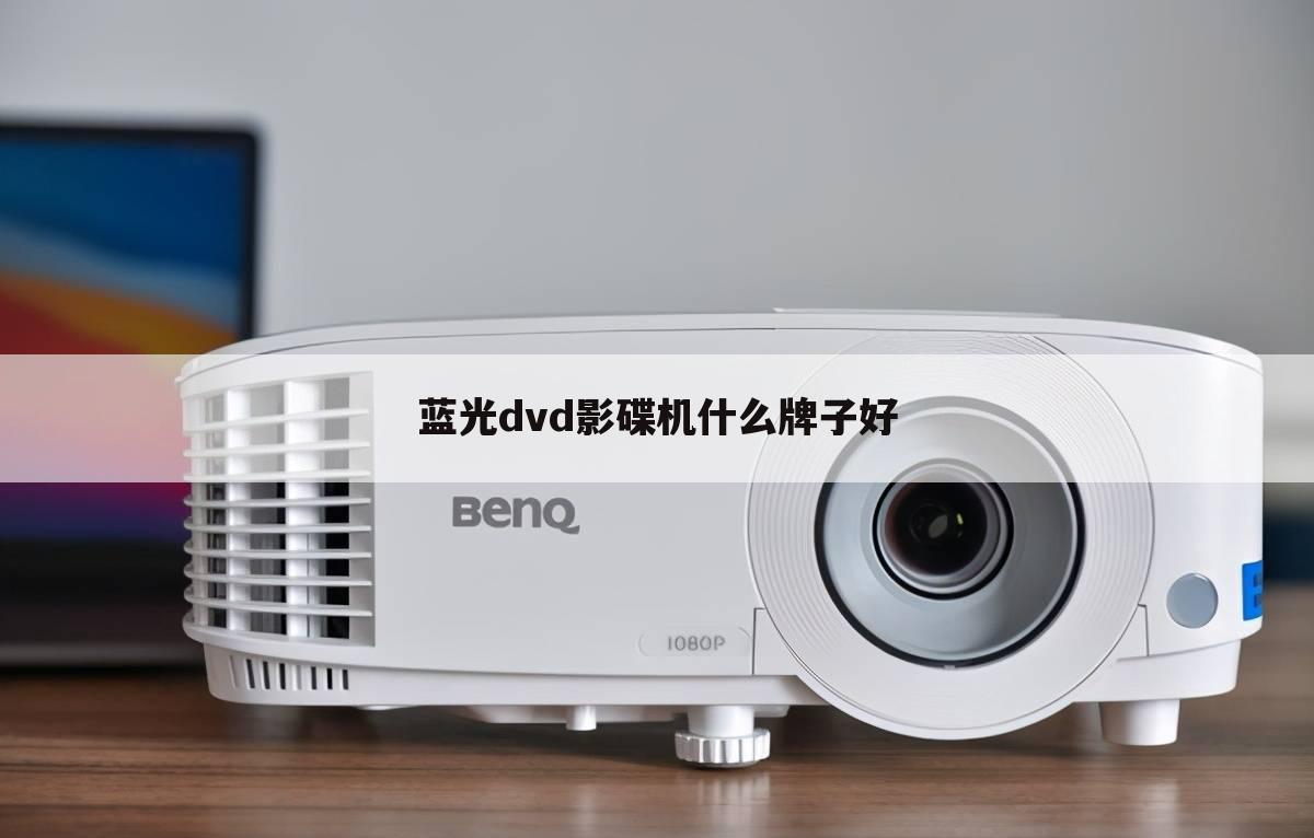 蓝光dvd影碟机什么牌子好