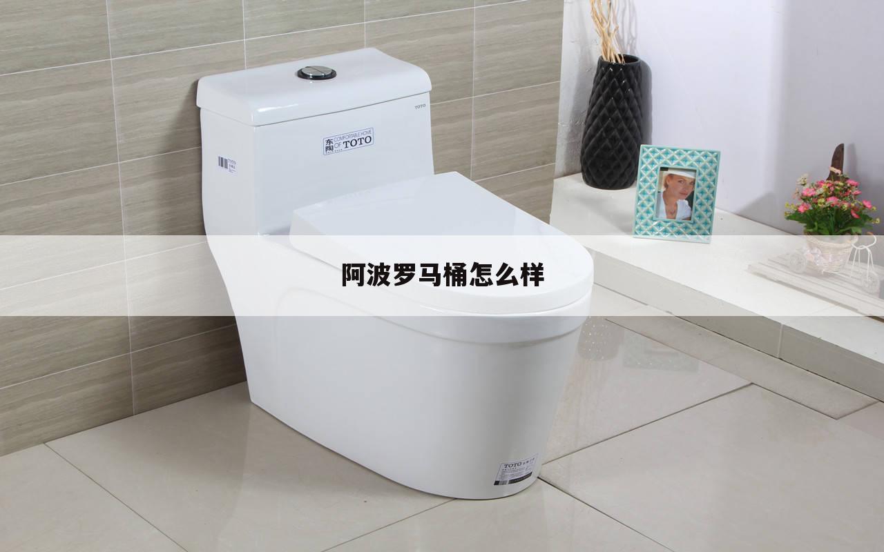 阿波罗马桶怎么样