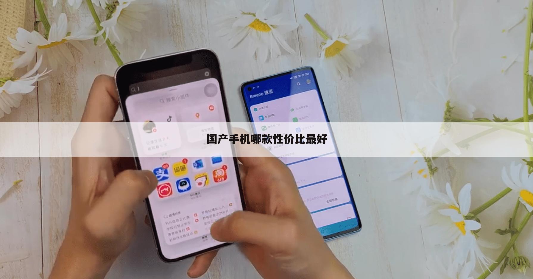 国产手机哪款性价比最好