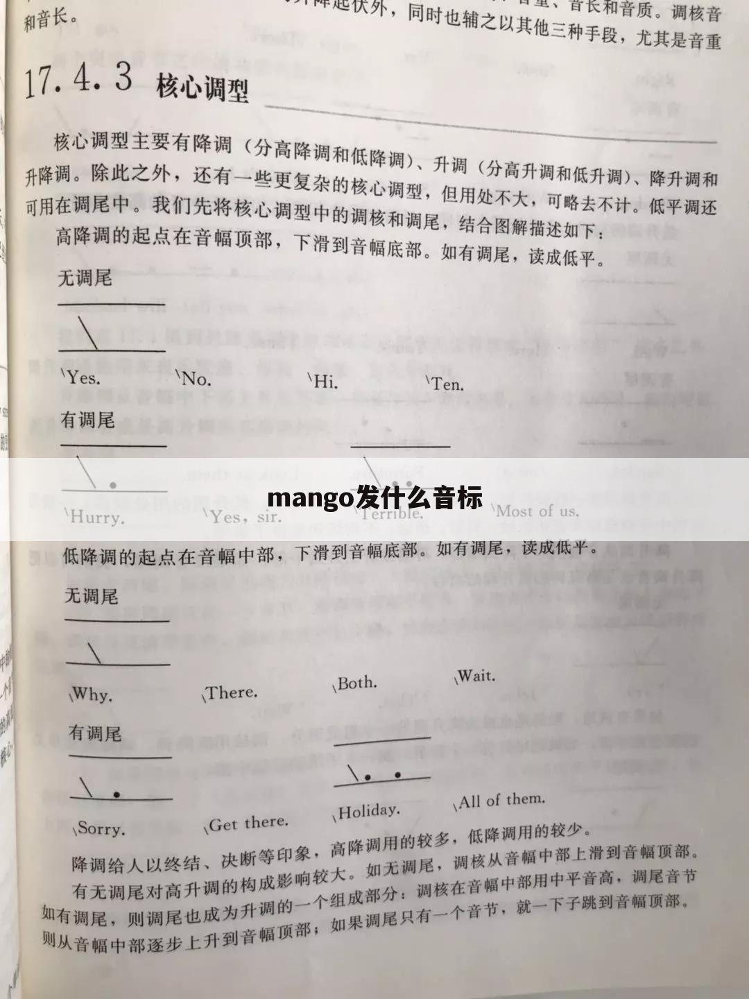 mango发什么音标