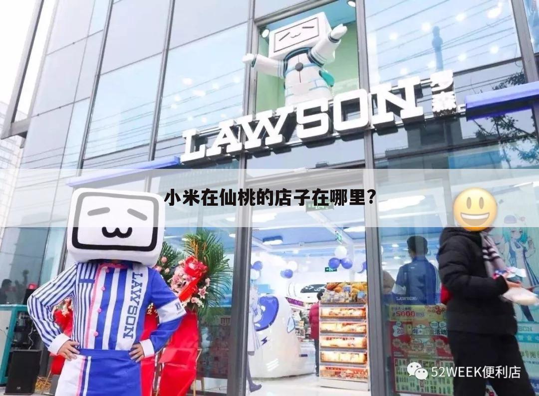 小米在仙桃的店子在哪里?