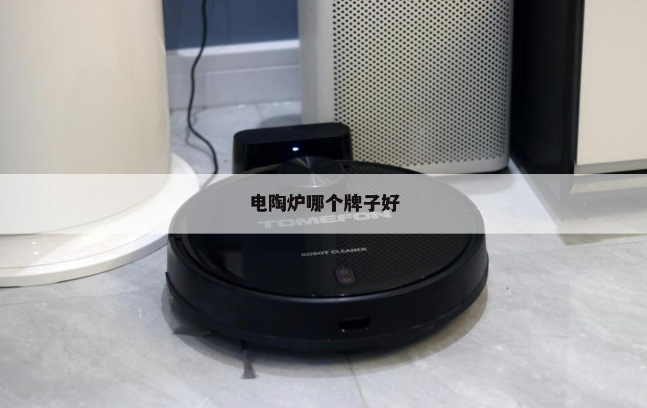 电陶炉哪个牌子好