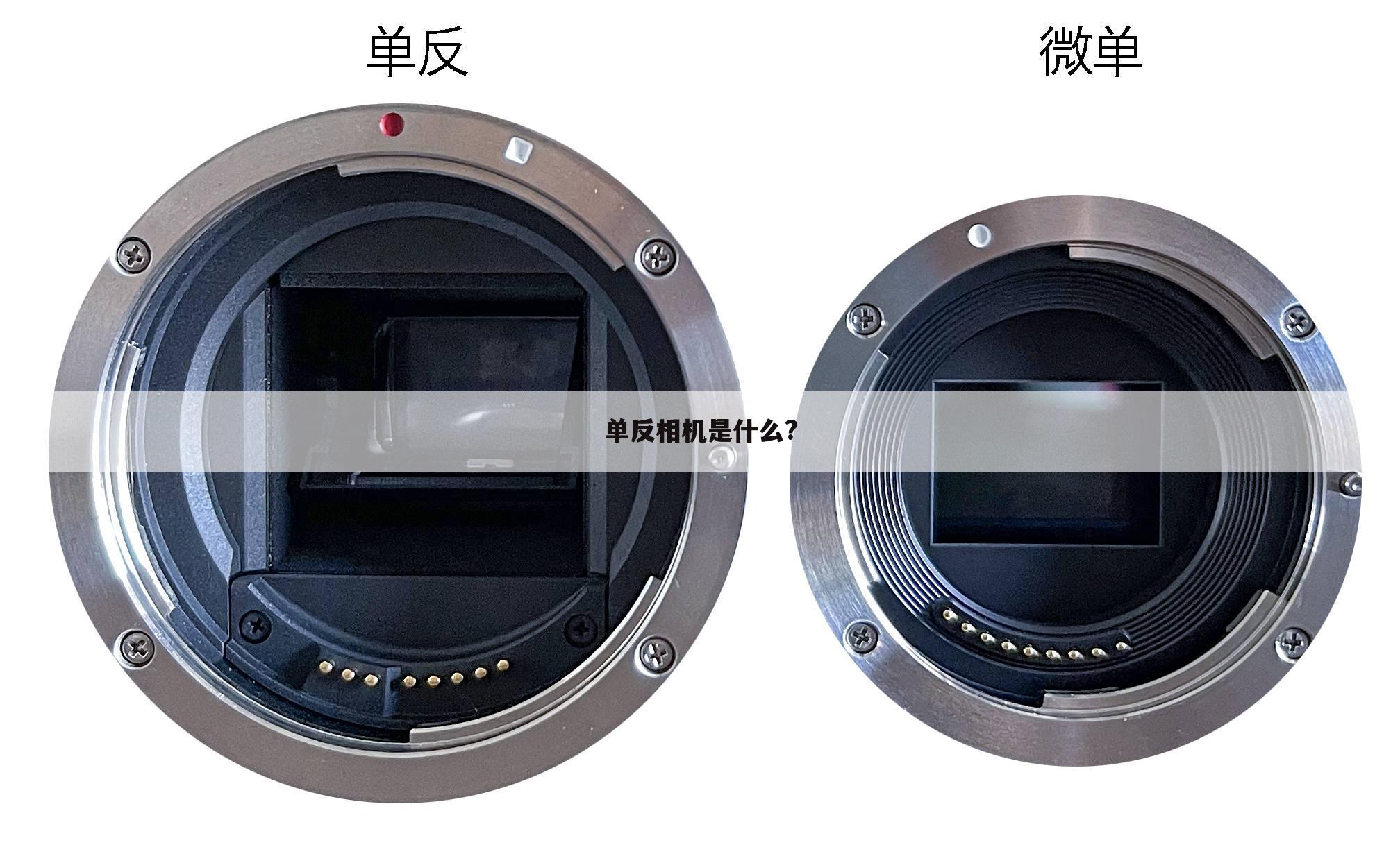 单反相机是什么?