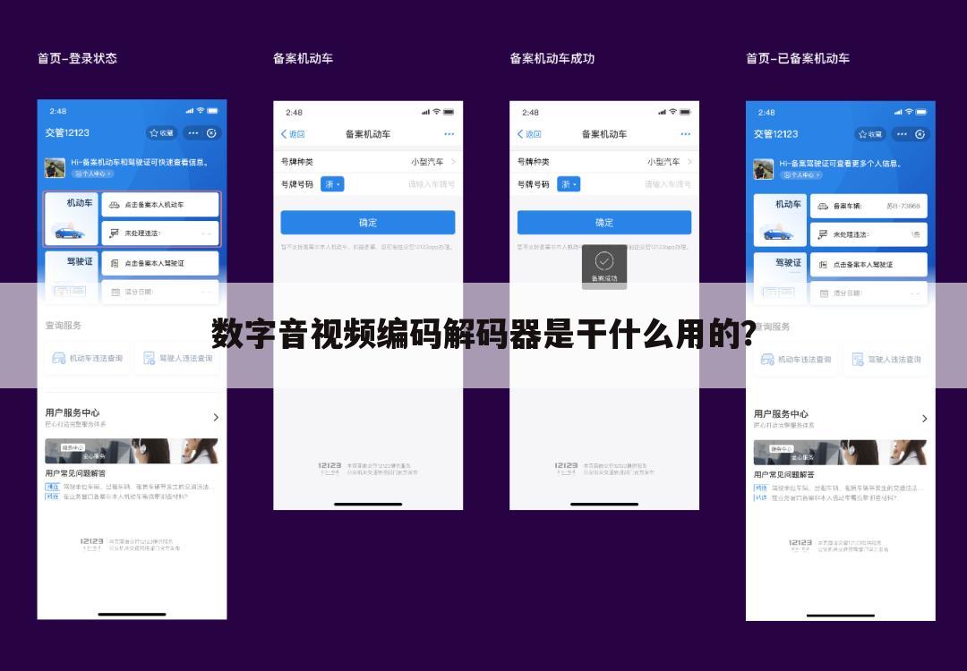 数字音视频编码解码器是干什么用的?