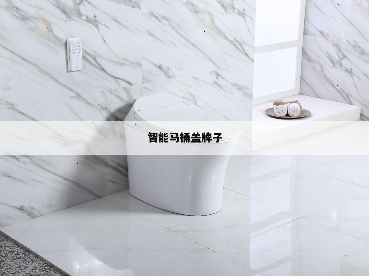 智能马桶盖牌子