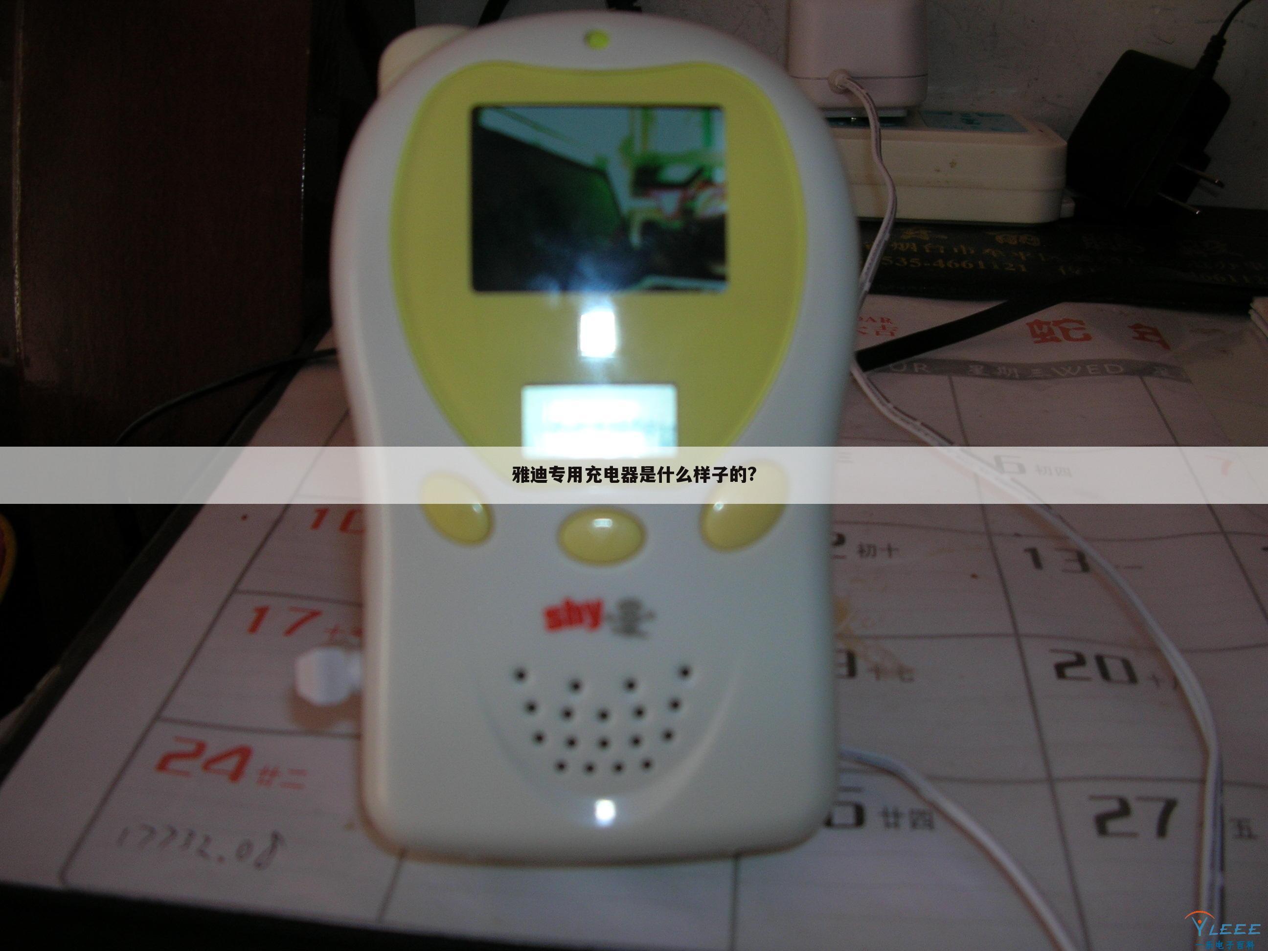 雅迪专用充电器是什么样子的?