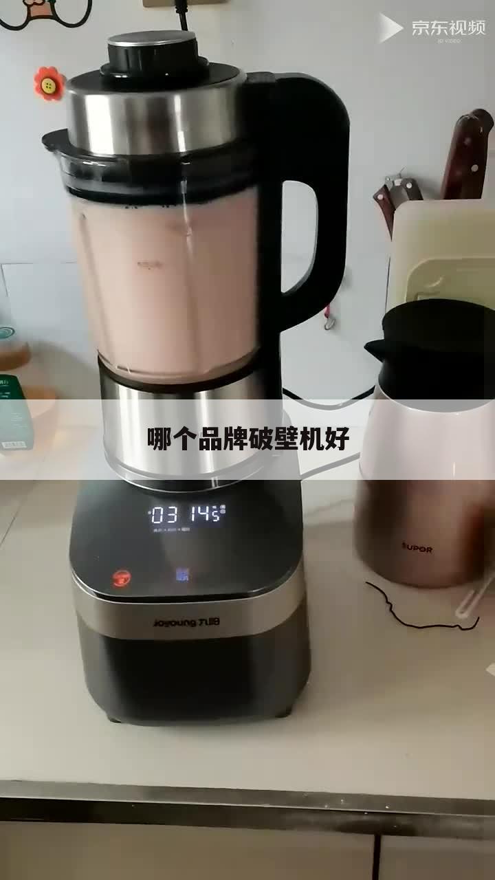 哪个品牌破壁机好