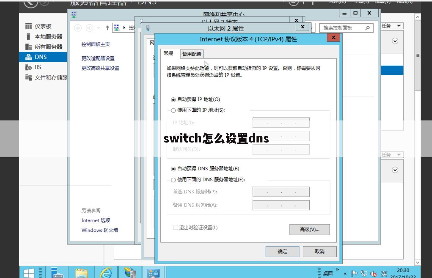 switch怎么设置dns