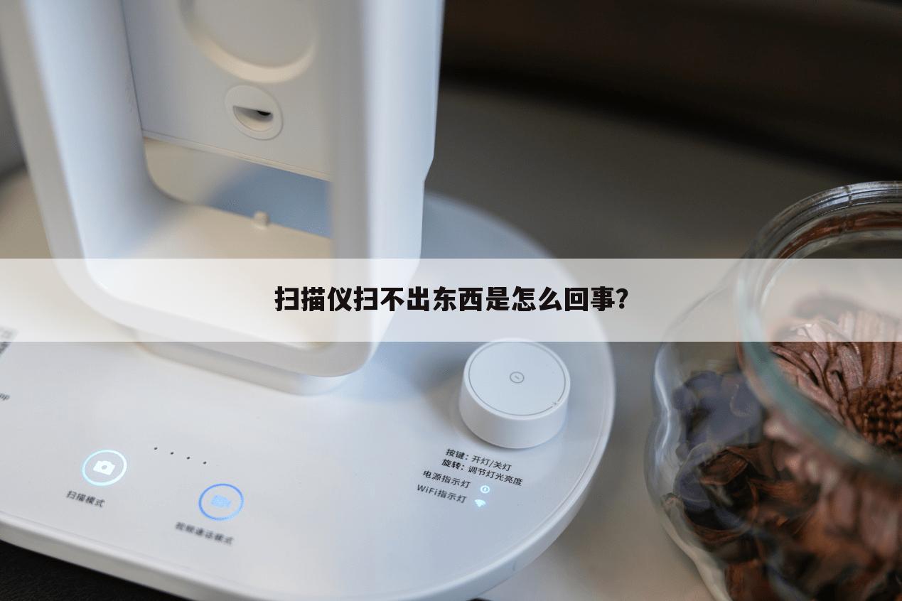 扫描仪扫不出东西是怎么回事?