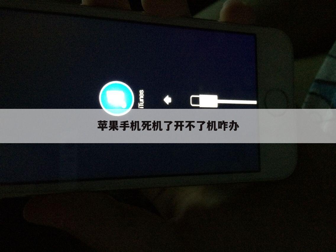 苹果手机死机了开不了机咋办