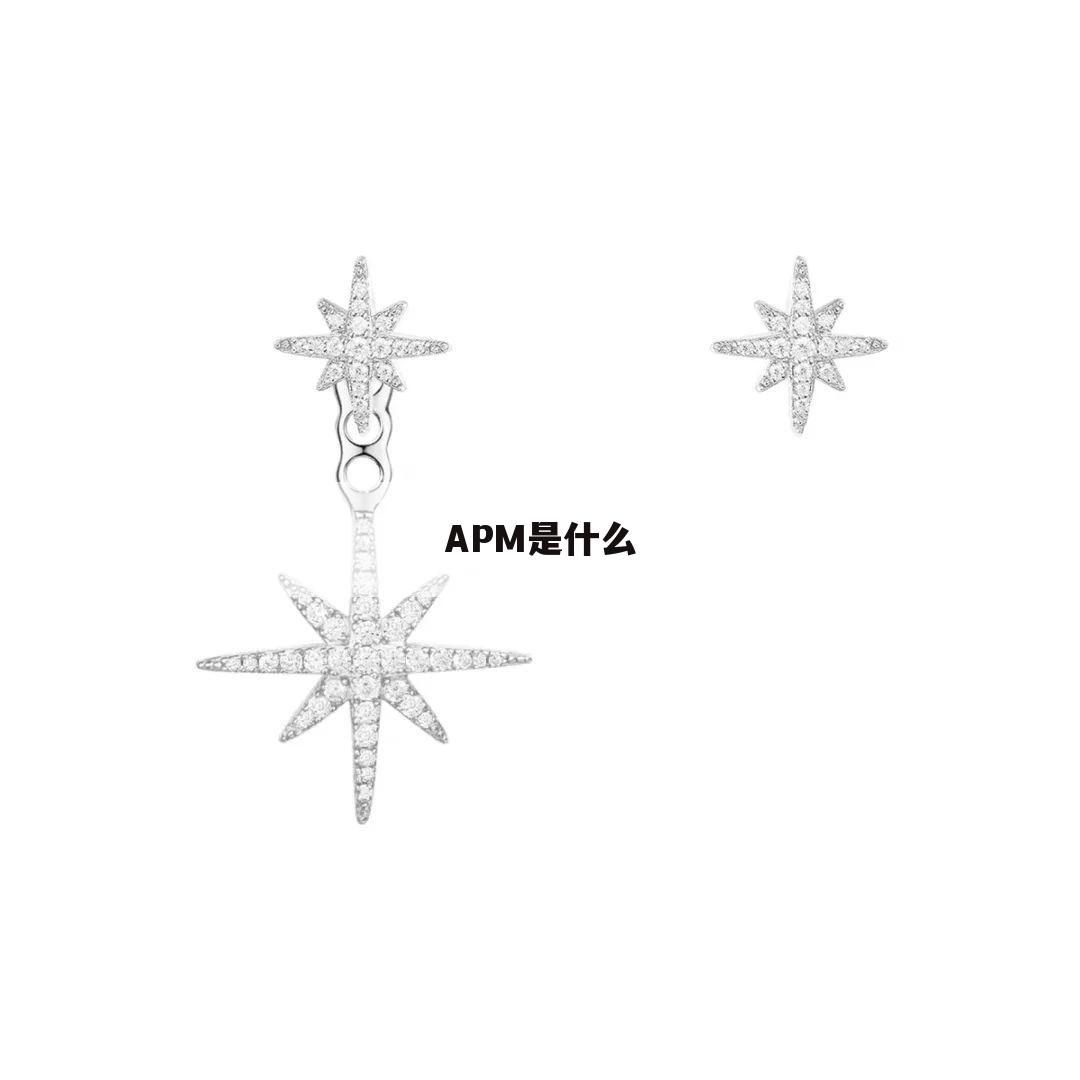 APM是什么