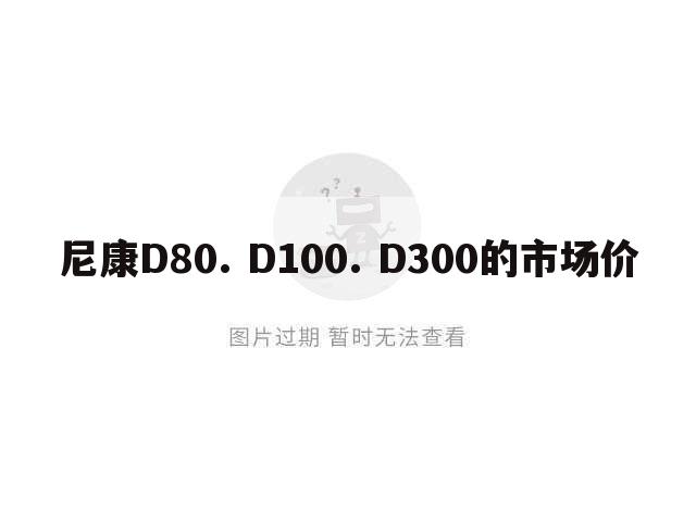 尼康D80. D100. D300的市场价