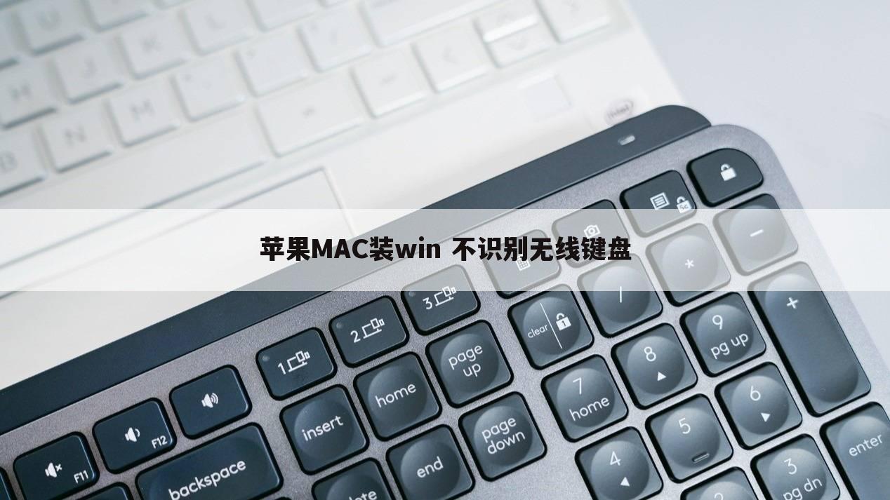 苹果MAC装win 不识别无线键盘