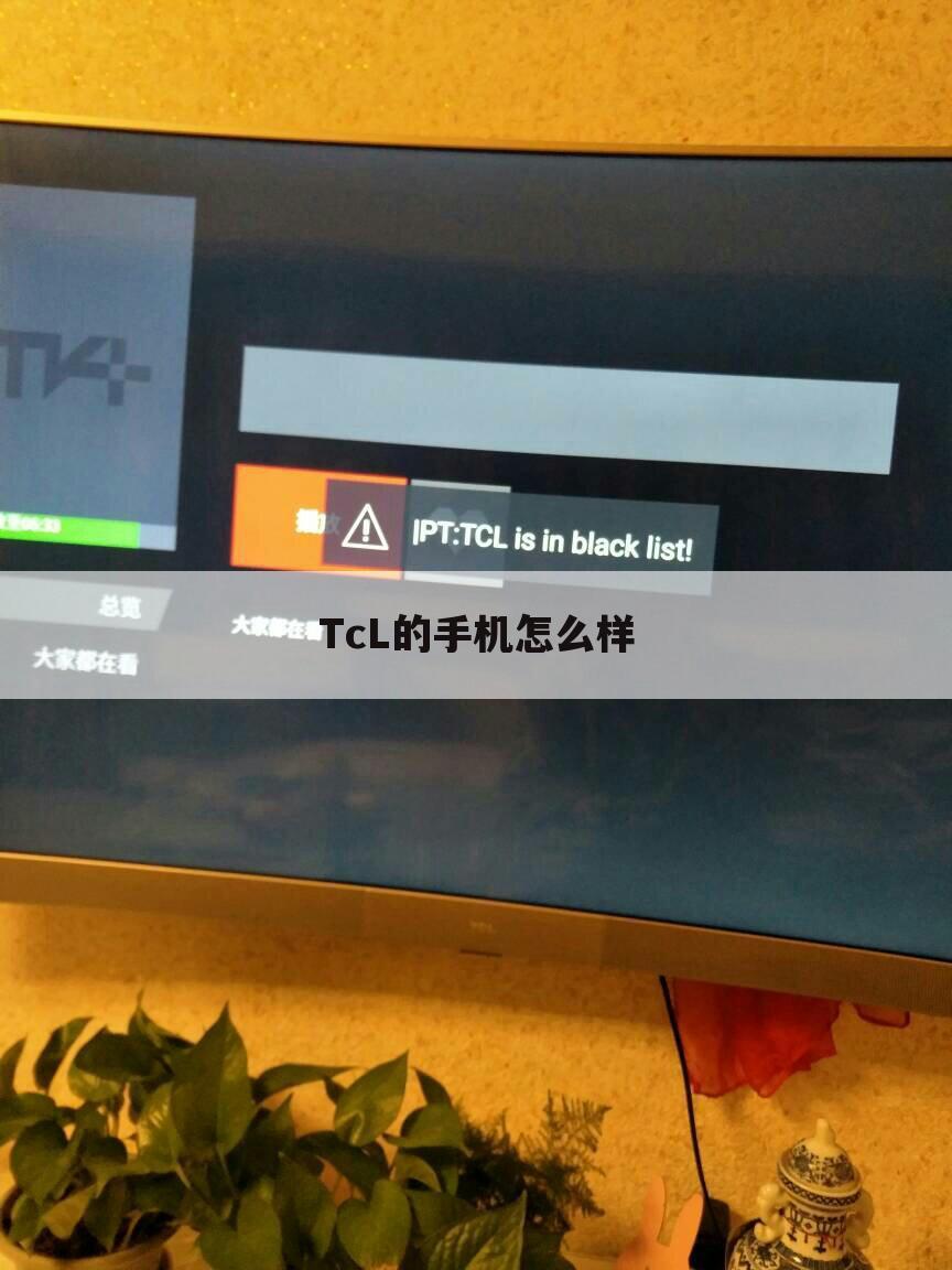 TcL的手机怎么样