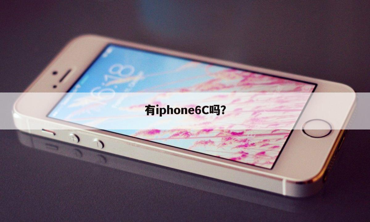 有iphone6C吗?