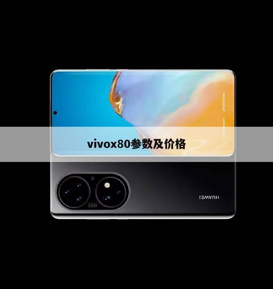 vivox80参数及价格