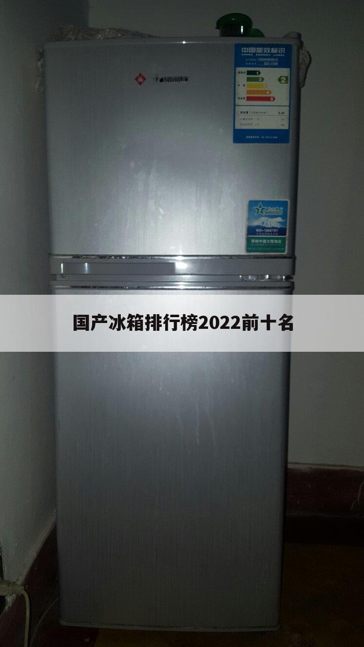国产冰箱排行榜2022前十名
