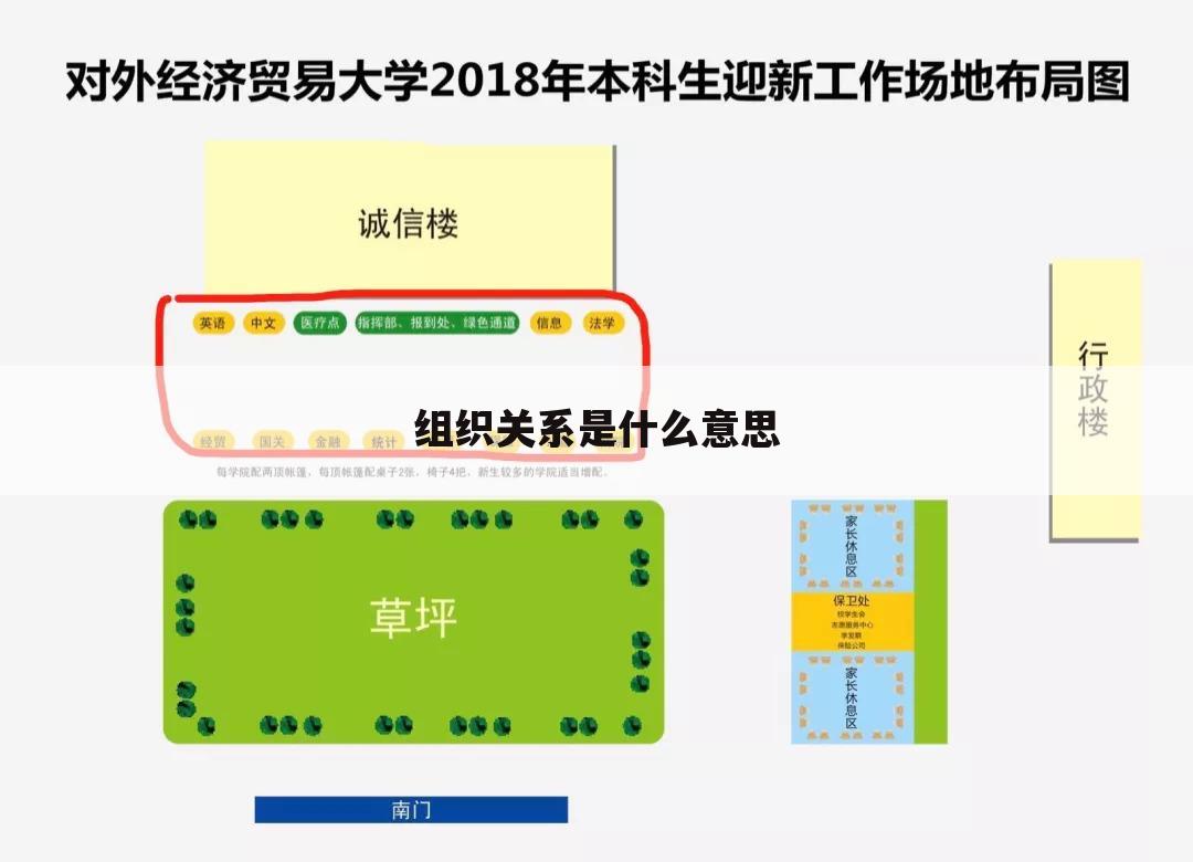 组织关系是什么意思