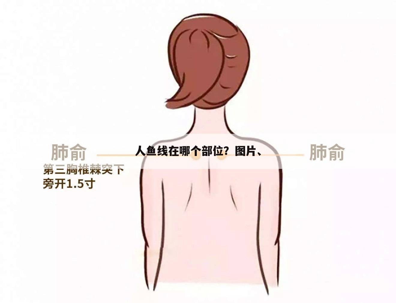 人鱼线在哪个部位？图片、