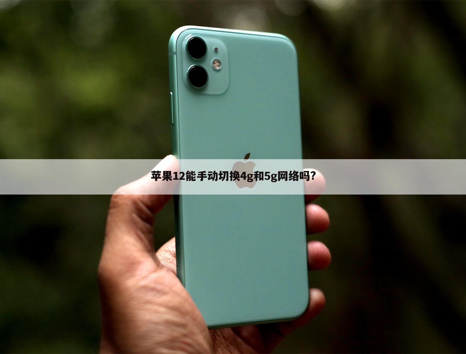 苹果12能手动切换4g和5g网络吗?