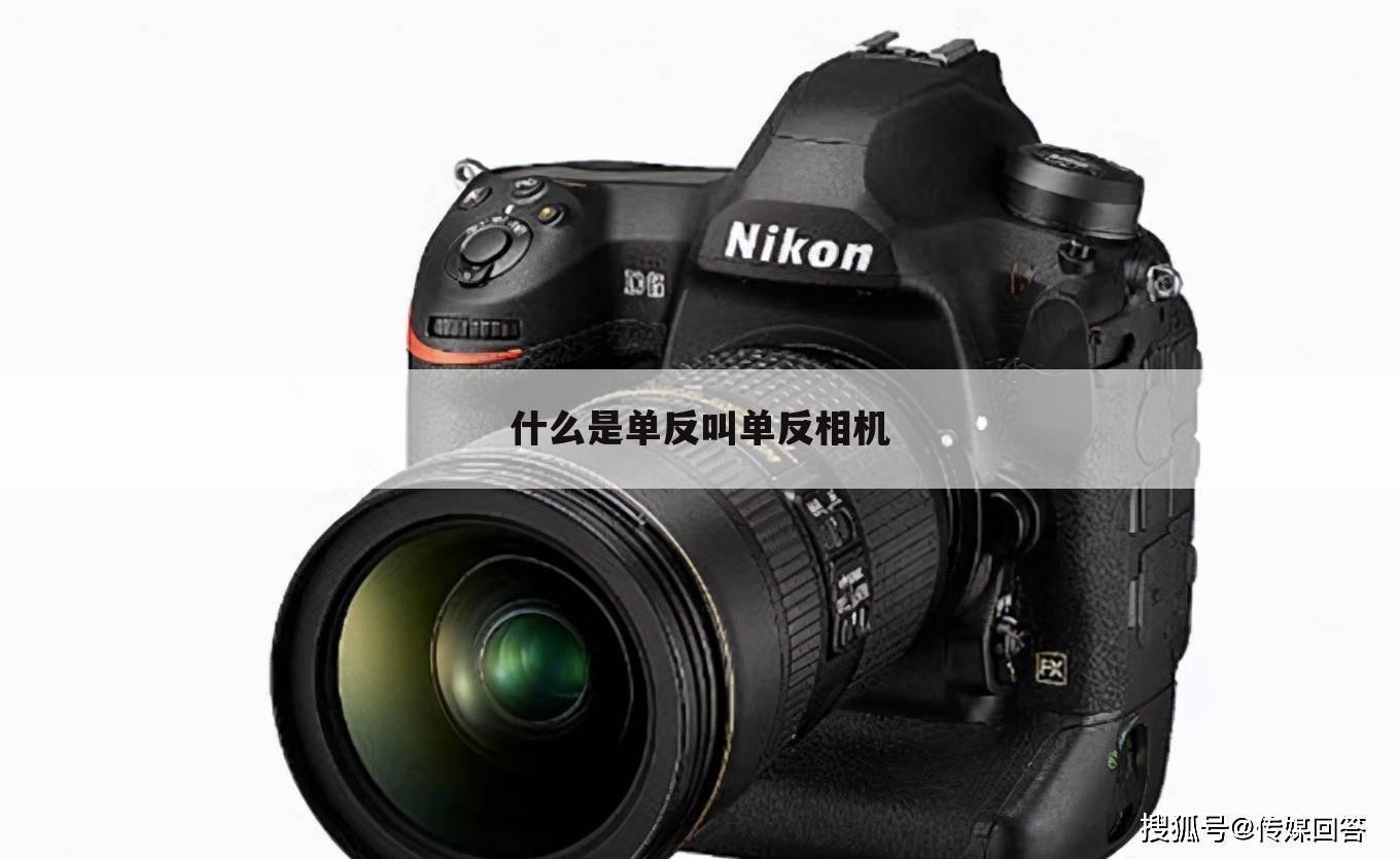 什么是单反叫单反相机