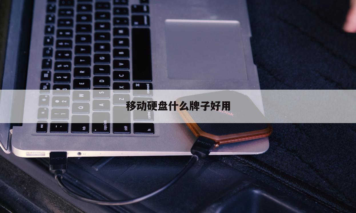 移动硬盘什么牌子好用