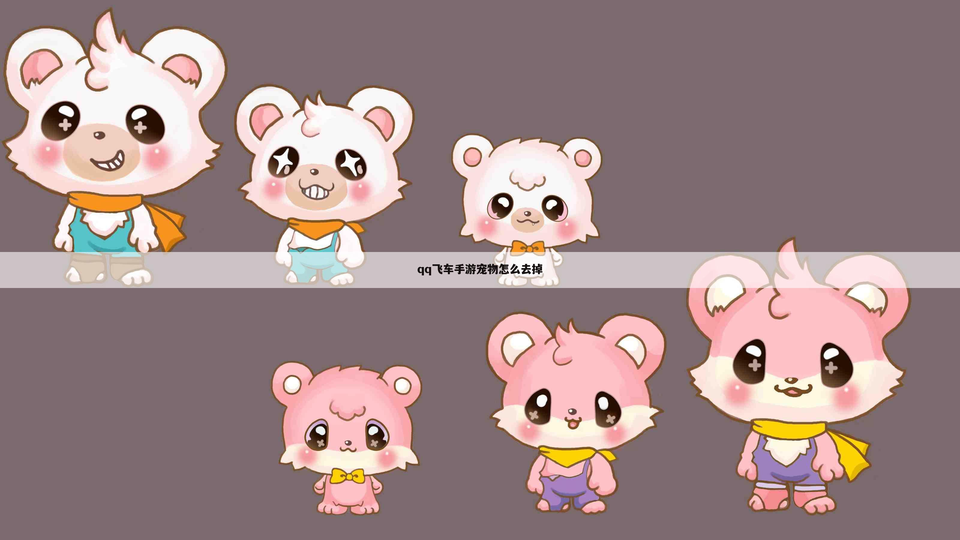 qq飞车手游宠物怎么去掉