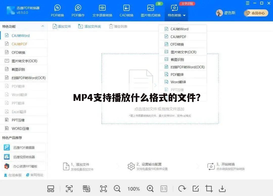 MP4支持播放什么格式的文件？