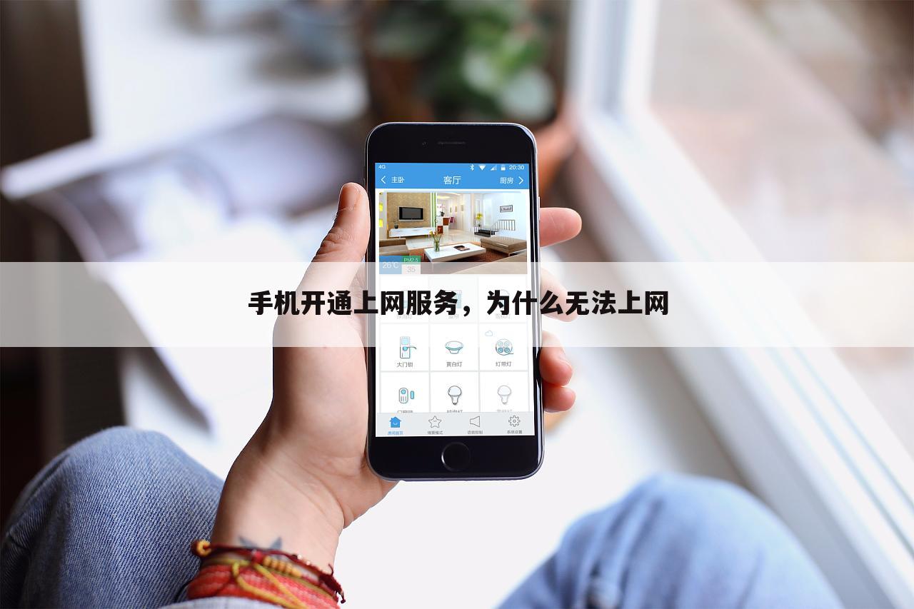 手机开通上网服务,为什么无法上网