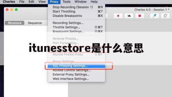 itunesstore是什么意思