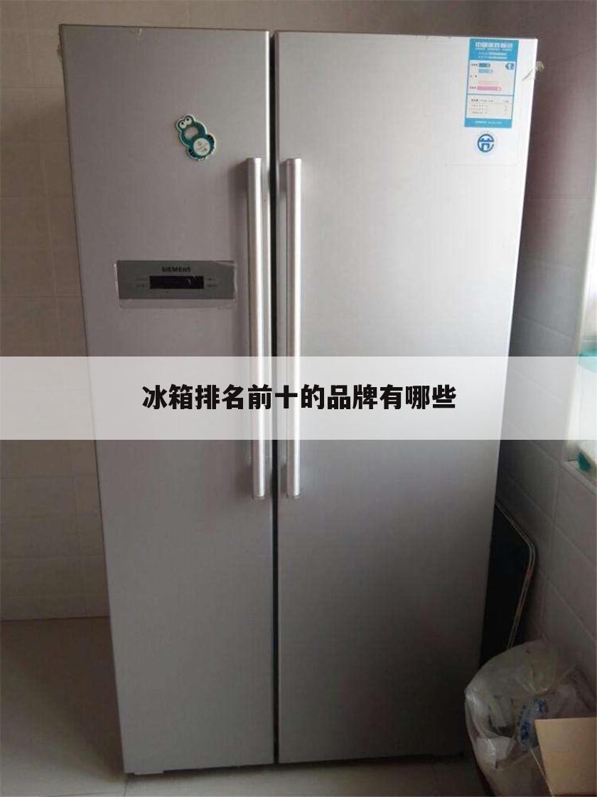 冰箱排名前十的品牌有哪些