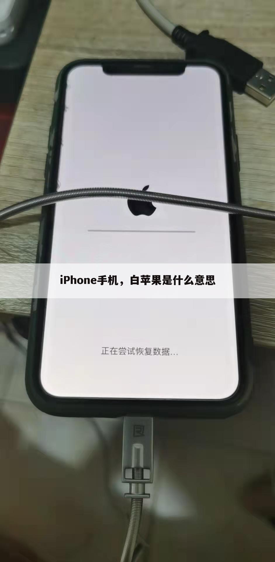 iPhone手机，白苹果是什么意思