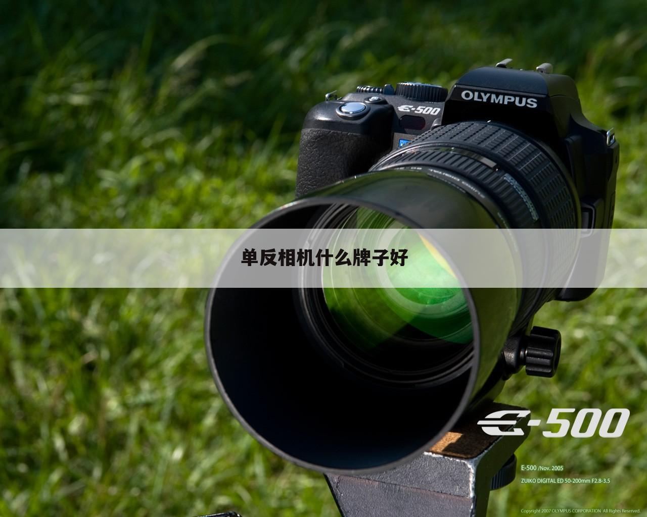 单反相机什么牌子好