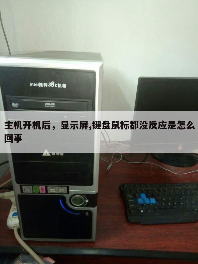主机开机后，显示屏,键盘鼠标都没反应是怎么回事