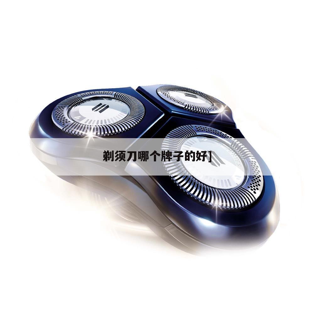 剃须刀哪个牌子的好]