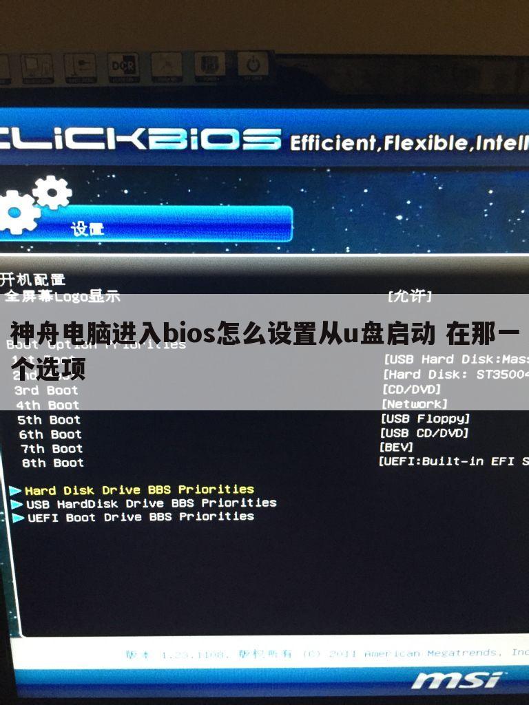 神舟电脑进入bios怎么设置从u盘启动 在那一个选项