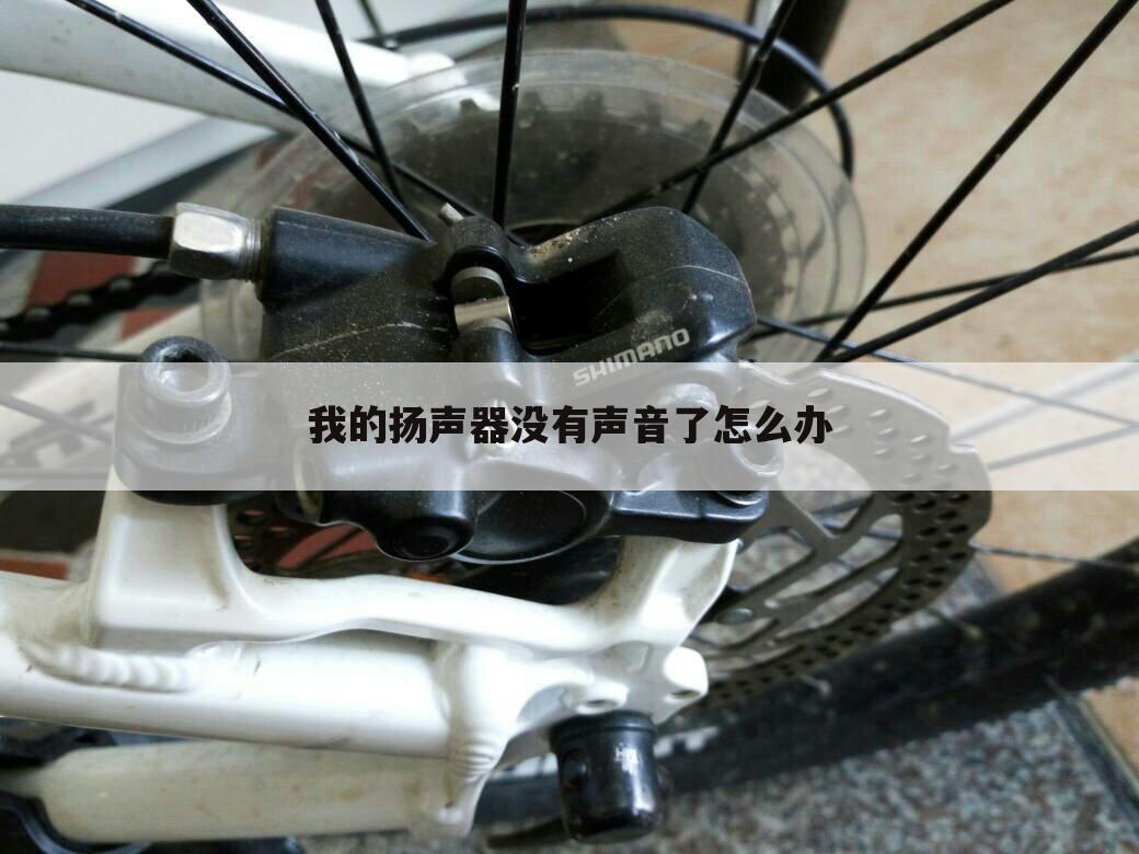 我的扬声器没有声音了怎么办